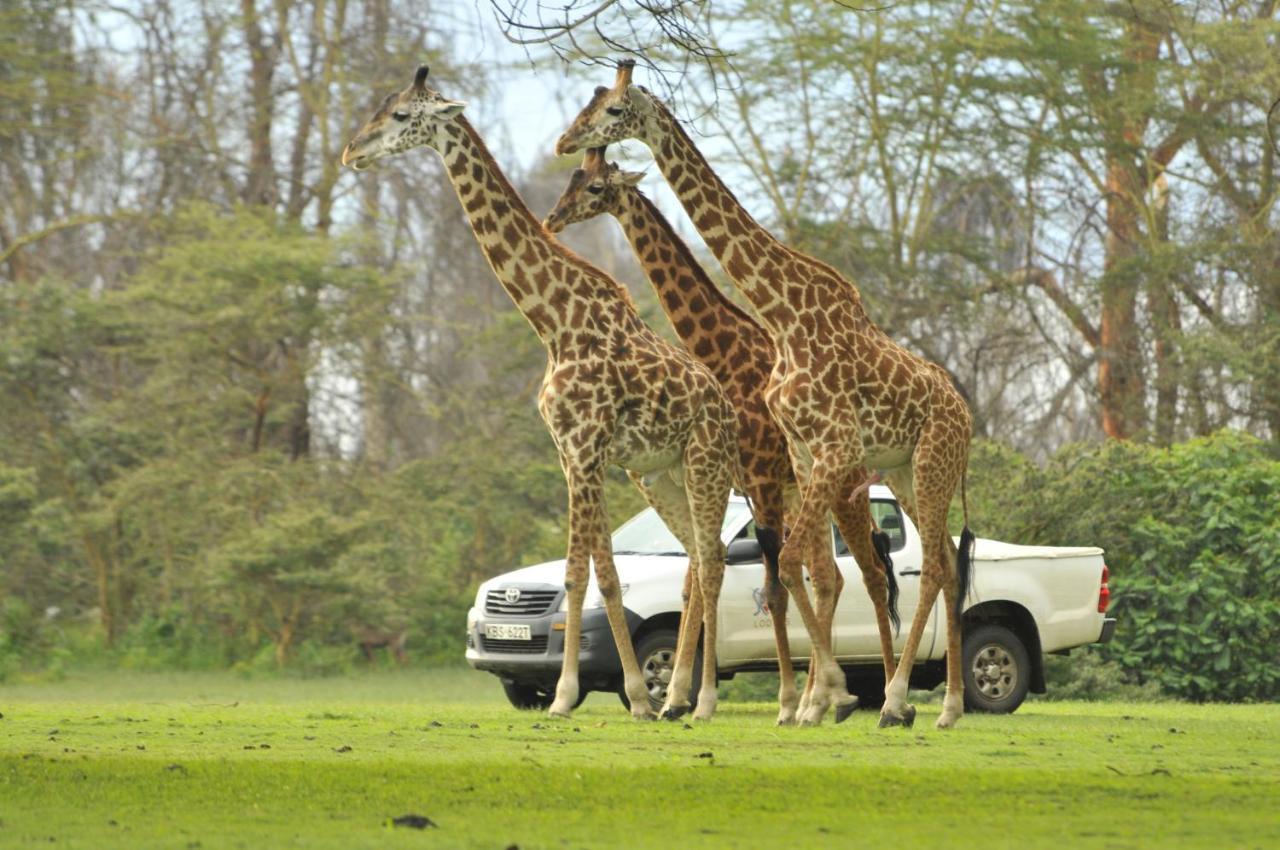 Lake Naivasha Sopa Resort Exterior photo