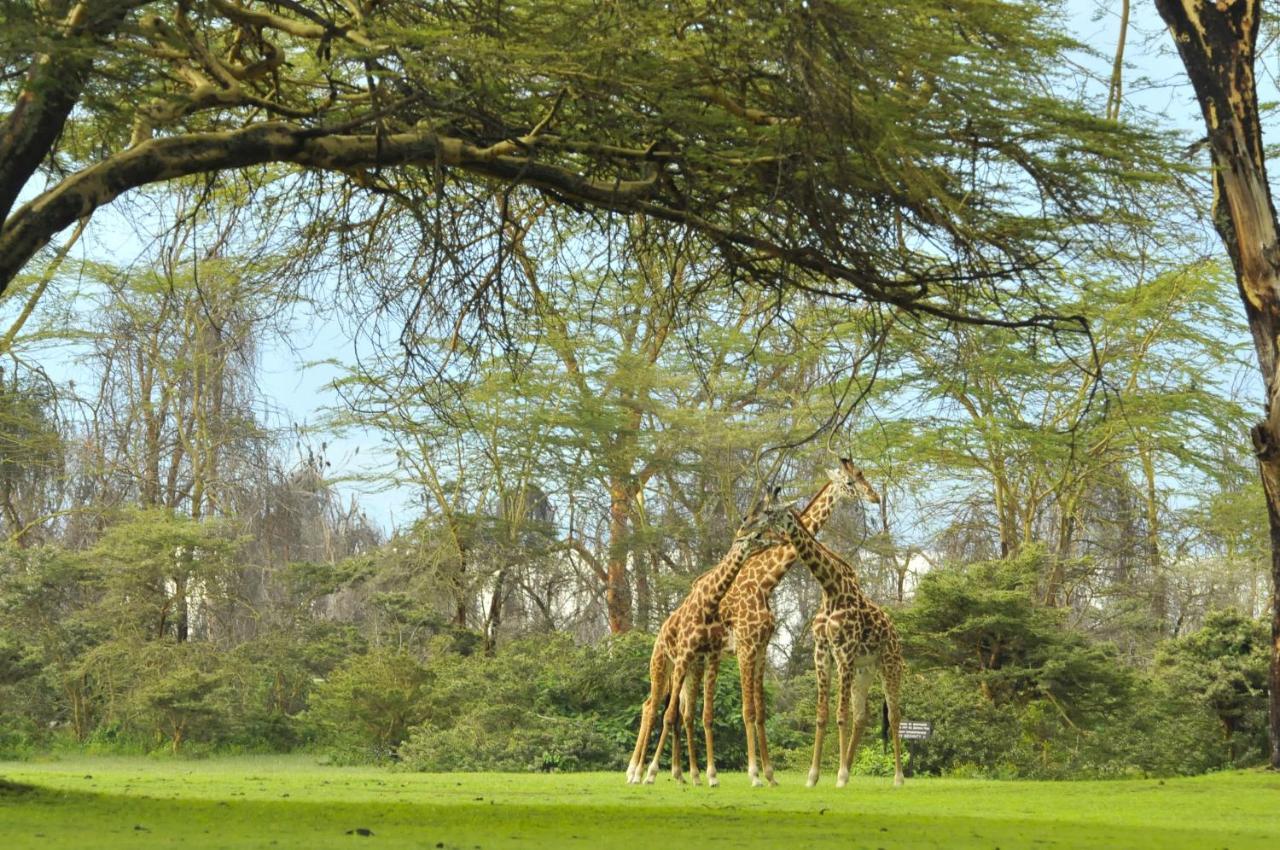 Lake Naivasha Sopa Resort Exterior photo